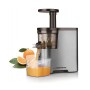 STORCATOR LENT FRUCTE 150W MANDARINA ESPERANZ