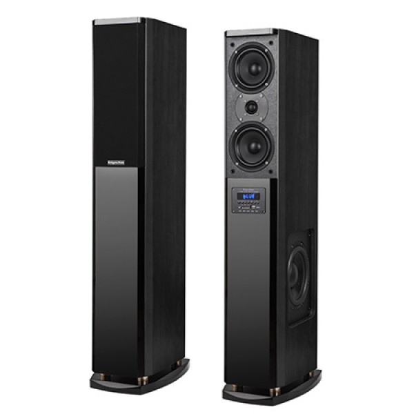 SISTEM AUDIO PASSION NEGRU KRUGER&MATZ