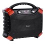 SISTEM ACTIV PORTABIL FM/MP3/BLUETOOTH/KARAOK