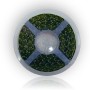 BANDA LED SMD 3528 PROTECTIE APA ALB RECE 5M
