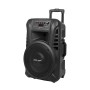 SISTEM AUDIO PORTABIL SD BLUETOOTH USB 12INCH