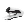 CAPSATOR BIROU PLATINET