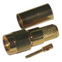 MUFA SMA MAMA H155 PIN AURIU