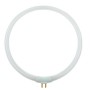 BEC REZERVA T4 22W PENTRU LAMPA CU LUPA